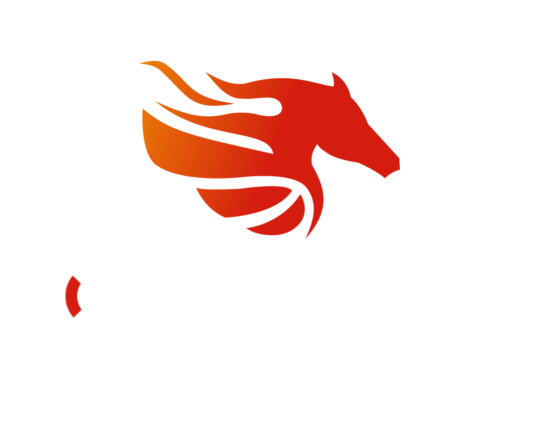 One World Sports